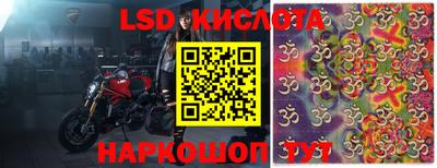 ALPHA PVP Новозыбков