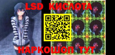 шишки Новодвинск