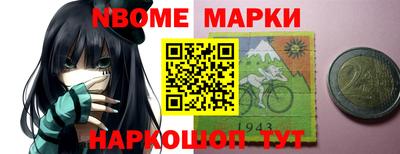 шишки Новодвинск