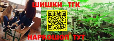 шишки Новодвинск