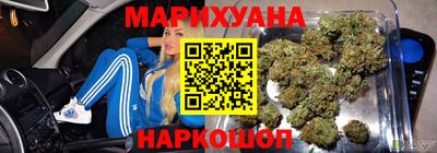 шишки Новодвинск