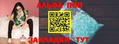 шишки Новодвинск