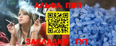 шишки Новодвинск