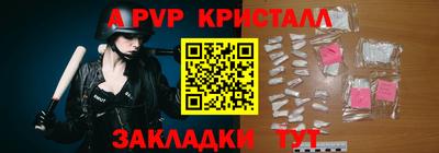шишки Новодвинск