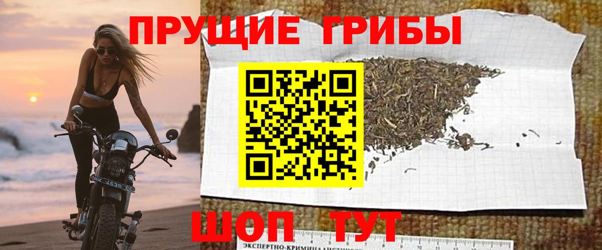Строитель  Галлюциногенные грибы MAGIC MUSHROOMS  Вход с VPN 